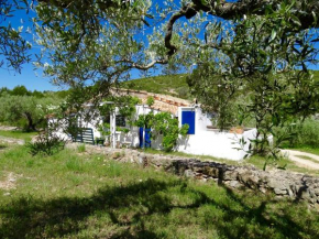 Casita Blanca